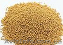 Продам горчицу белую чешский сорт  - <ro>Изображение</ro><ru>Изображение</ru> #1, <ru>Объявление</ru> #200637