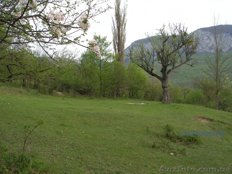 Продам земельный участок 60 соток 15км от Винницы - <ro>Изображение</ro><ru>Изображение</ru> #1, <ru>Объявление</ru> #685075