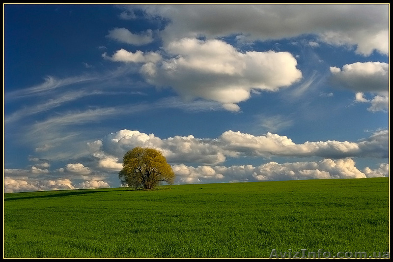 Земельные участки в с.Лукашовка!! 25 соток-7999$!! - <ro>Изображение</ro><ru>Изображение</ru> #1, <ru>Объявление</ru> #760614