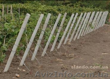 Столбики для винограда - <ro>Изображение</ro><ru>Изображение</ru> #1, <ru>Объявление</ru> #842605