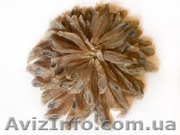 Александр +38 050 308 77 22 - <ro>Изображение</ro><ru>Изображение</ru> #1, <ru>Объявление</ru> #907440