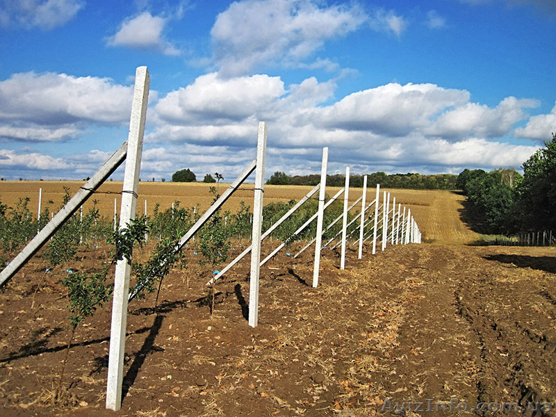 Продам железобетонные столбы - <ro>Изображение</ro><ru>Изображение</ru> #1, <ru>Объявление</ru> #1000340