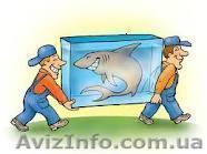 опытные грузчики+ авто - <ro>Изображение</ro><ru>Изображение</ru> #1, <ru>Объявление</ru> #1101632