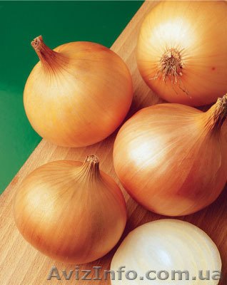 Продам семена Лука репчатого Халцедон - <ro>Изображение</ro><ru>Изображение</ru> #1, <ru>Объявление</ru> #1154554