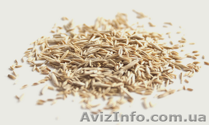 Продам семена газонной травы, состав Универсальный - <ro>Изображение</ro><ru>Изображение</ru> #1, <ru>Объявление</ru> #1154560