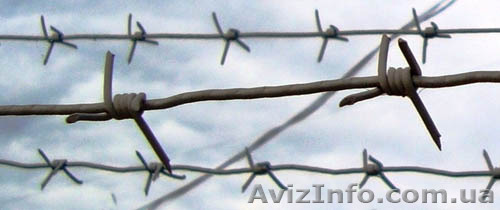 проволока колючая оцинкованная - <ro>Изображение</ro><ru>Изображение</ru> #1, <ru>Объявление</ru> #1233046