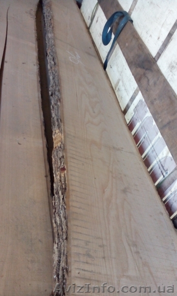 Дуб, ясень, клен, черешня, ольха,бук,берест. - <ro>Изображение</ro><ru>Изображение</ru> #1, <ru>Объявление</ru> #1504686