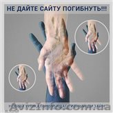 Не дайте сайту погибнуть!!! - <ro>Изображение</ro><ru>Изображение</ru> #1, <ru>Объявление</ru> #1542043