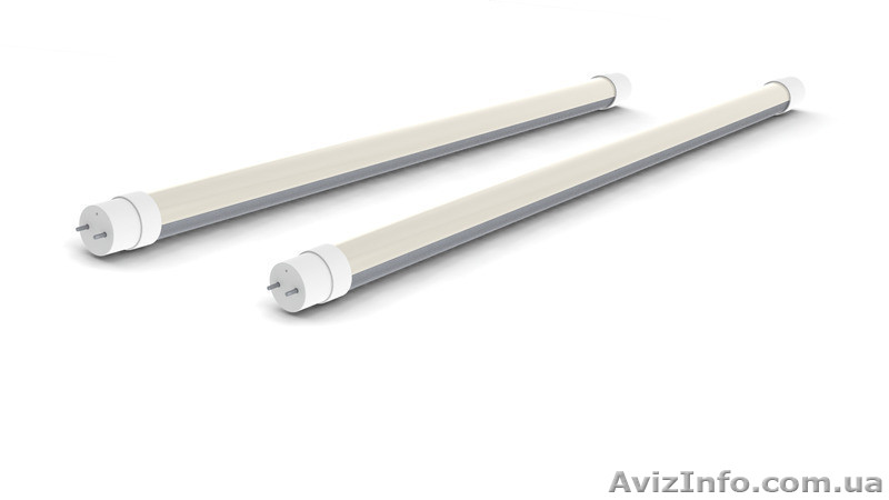 Лампы T8-GL-600-8W СW - <ro>Изображение</ro><ru>Изображение</ru> #1, <ru>Объявление</ru> #1547609