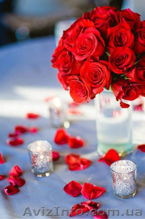 Відеозйомка урочистих подій - <ro>Изображение</ro><ru>Изображение</ru> #1, <ru>Объявление</ru> #1557610