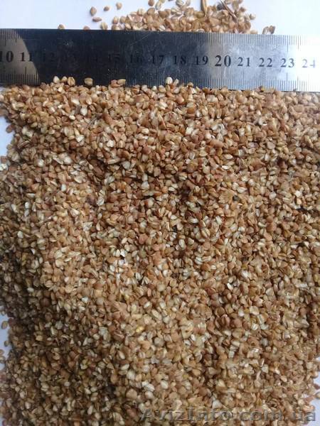 Продел гречневый 11 500 гр-т - <ro>Изображение</ro><ru>Изображение</ru> #1, <ru>Объявление</ru> #1598619