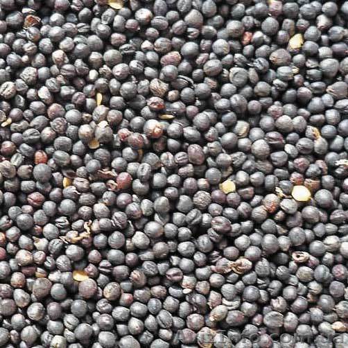 Куплю ріпак по високій ціні, вся Україна - <ro>Изображение</ro><ru>Изображение</ru> #1, <ru>Объявление</ru> #1622802