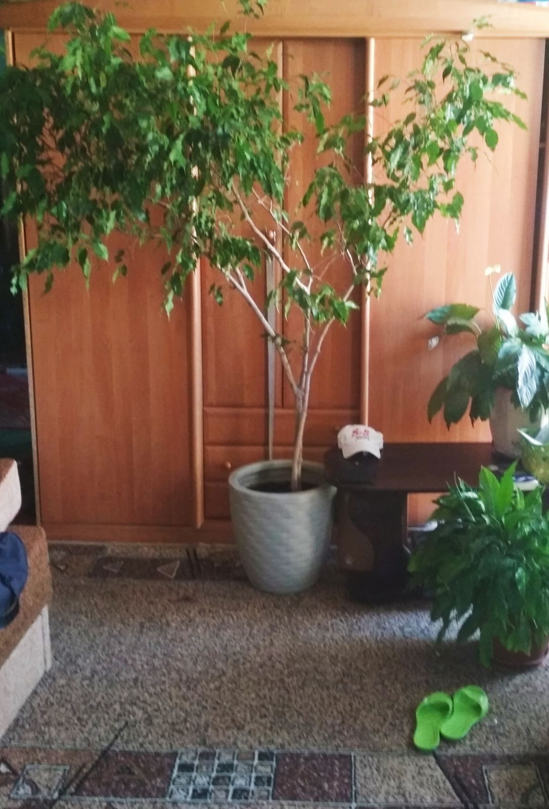 1-2 ком квартира, комната, гараж в оренду почасово и посуточно - <ro>Изображение</ro><ru>Изображение</ru> #1, <ru>Объявление</ru> #1715120