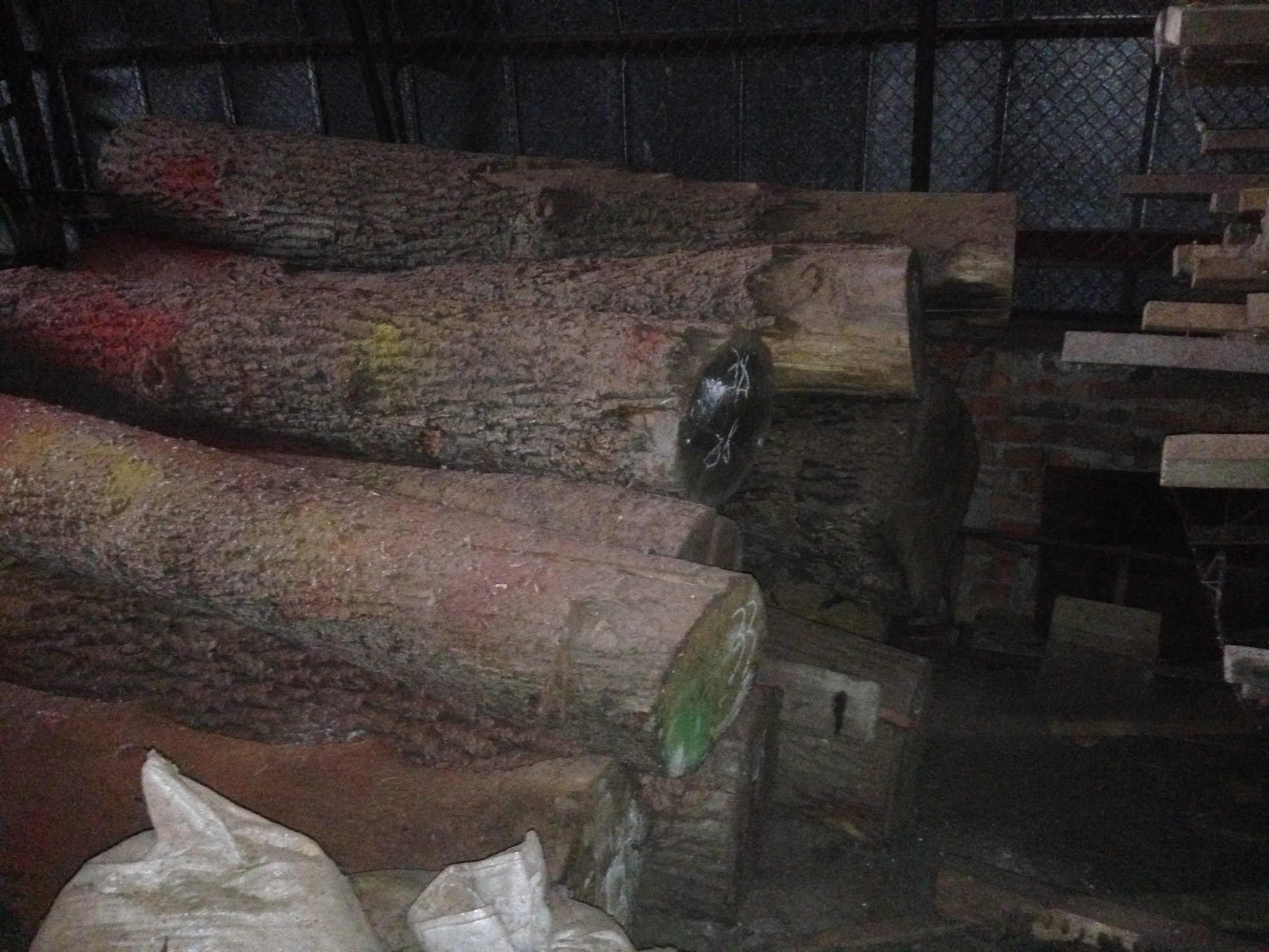 Дуб кругляк  - <ro>Изображение</ro><ru>Изображение</ru> #1, <ru>Объявление</ru> #1258349