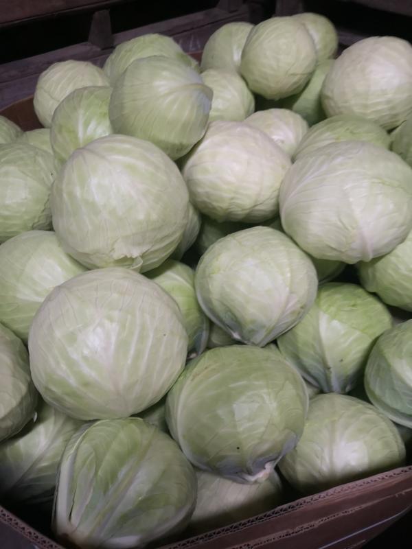 Продам овощи и фpyкmы из Польши  - <ro>Изображение</ro><ru>Изображение</ru> #1, <ru>Объявление</ru> #1733012