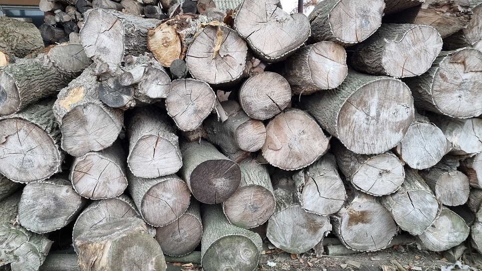 Дрова твердих порід - <ro>Изображение</ro><ru>Изображение</ru> #1, <ru>Объявление</ru> #1732762