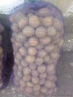 Продам картофель! - <ro>Изображение</ro><ru>Изображение</ru> #2, <ru>Объявление</ru> #83488