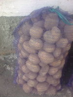 Продам картофель! - <ro>Изображение</ro><ru>Изображение</ru> #3, <ru>Объявление</ru> #83488