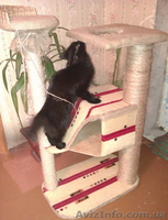 Изгоовление домиков для кошек - <ro>Изображение</ro><ru>Изображение</ru> #2, <ru>Объявление</ru> #336852
