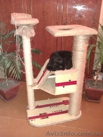 Изгоовление домиков для кошек - <ro>Изображение</ro><ru>Изображение</ru> #1, <ru>Объявление</ru> #336852