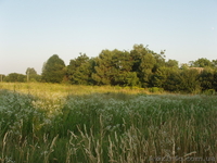 Продам земельный участок Винница-с. Лавровка, срочно! - <ro>Изображение</ro><ru>Изображение</ru> #1, <ru>Объявление</ru> #326333