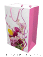 Пакеты подарочные, открытки оптом - <ro>Изображение</ro><ru>Изображение</ru> #3, <ru>Объявление</ru> #319740