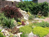 Продам дом в г.Ямполе - <ro>Изображение</ro><ru>Изображение</ru> #3, <ru>Объявление</ru> #362617