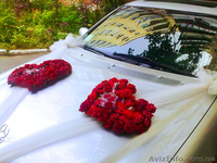 Royal Design - услуги свадебного декорирования - <ro>Изображение</ro><ru>Изображение</ru> #6, <ru>Объявление</ru> #190046