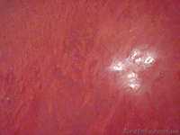 Нанесення венеціанської штукатурки. - <ro>Изображение</ro><ru>Изображение</ru> #4, <ru>Объявление</ru> #435084