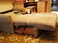 Раскладной диванчик - <ro>Изображение</ro><ru>Изображение</ru> #1, <ru>Объявление</ru> #472590