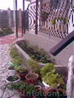 Отдых в Крыму! недорого! - <ro>Изображение</ro><ru>Изображение</ru> #1, <ru>Объявление</ru> #560808