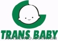 Детские коляски Trans baby оптовые цены - <ro>Изображение</ro><ru>Изображение</ru> #4, <ru>Объявление</ru> #675738