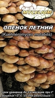 Мицелий вешенки, шампиньона - <ro>Изображение</ro><ru>Изображение</ru> #1, <ru>Объявление</ru> #736212