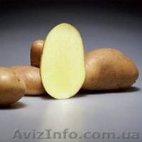 Пестецыды для владельцев приусадебных участков и фермерских хозяйств  - <ro>Изображение</ro><ru>Изображение</ru> #3, <ru>Объявление</ru> #772906