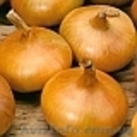 Пестецыды для владельцев приусадебных участков и фермерских хозяйств  - <ro>Изображение</ro><ru>Изображение</ru> #4, <ru>Объявление</ru> #772906