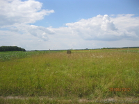 Прдаю земельный участок 6 соток 6 тыс.дол - <ro>Изображение</ro><ru>Изображение</ru> #3, <ru>Объявление</ru> #790230