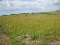 Прдаю земельный участок 6 соток 6 тыс.дол - <ro>Изображение</ro><ru>Изображение</ru> #4, <ru>Объявление</ru> #790230