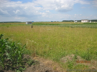 Прдаю земельный участок 6 соток 6 тыс.дол - <ro>Изображение</ro><ru>Изображение</ru> #1, <ru>Объявление</ru> #790230