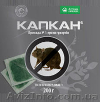 Продам семена овощных Семко - Юниор огурцы, томаты, капуста и. т.д. - <ro>Изображение</ro><ru>Изображение</ru> #6, <ru>Объявление</ru> #810207