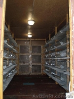 Продам кунг для выращивания перепелов - <ro>Изображение</ro><ru>Изображение</ru> #2, <ru>Объявление</ru> #801859