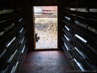 Продам кунг для выращивания перепелов - <ro>Изображение</ro><ru>Изображение</ru> #8, <ru>Объявление</ru> #801859