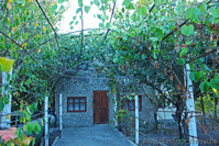 Дача 65 м² пгт. Орджоникидзе Крым Феодосия 4 сотки - <ro>Изображение</ro><ru>Изображение</ru> #2, <ru>Объявление</ru> #841621