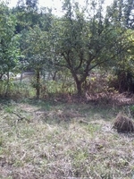 Продам дачу в красивом месте - <ro>Изображение</ro><ru>Изображение</ru> #2, <ru>Объявление</ru> #878908