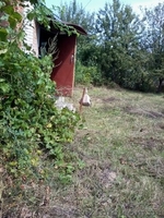 Продам дачу в красивом месте - <ro>Изображение</ro><ru>Изображение</ru> #4, <ru>Объявление</ru> #878908