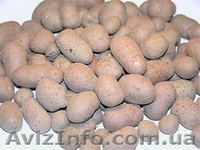 ВИН ЕВРО ШЛЯХ БУД  - <ro>Изображение</ro><ru>Изображение</ru> #4, <ru>Объявление</ru> #887861