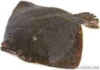 СВЕЖАЯ РЫБКА - ОПТ - <ro>Изображение</ro><ru>Изображение</ru> #1, <ru>Объявление</ru> #905958