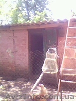 Продам будинок в м.Гнівані - <ro>Изображение</ro><ru>Изображение</ru> #5, <ru>Объявление</ru> #930891