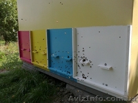 Оздоровление пчелами - <ro>Изображение</ro><ru>Изображение</ru> #6, <ru>Объявление</ru> #944810