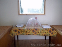 Оздоровление пчелами - <ro>Изображение</ro><ru>Изображение</ru> #4, <ru>Объявление</ru> #944810