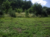 Дом Тывров Винницкая область - <ro>Изображение</ro><ru>Изображение</ru> #5, <ru>Объявление</ru> #967549